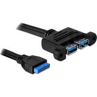 DeLOCK USB 3.2 Gen 1 Kabel, Pin Header 19 Pin Buchse > 2x USB-A Buchse, zum Einbau schwarz, 45cm