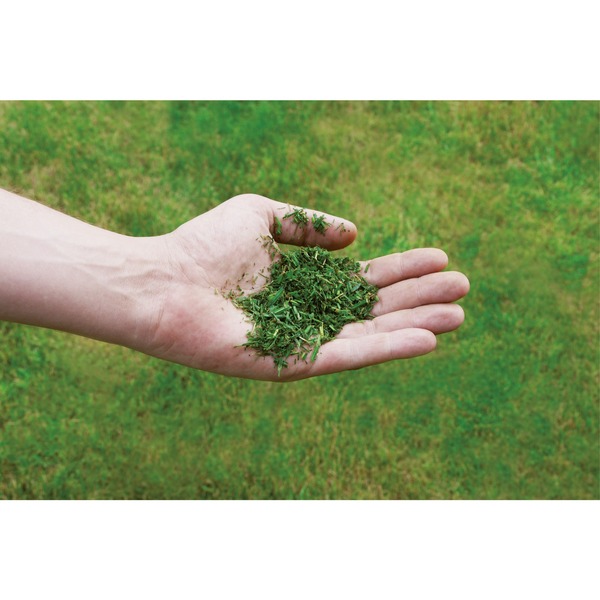 EINHELL Akku-Rasenmäher GE-CM 36/43 Li M - Solo, 36Volt (2x18V) rot/schwarz, ohne Akku und Ladegerät