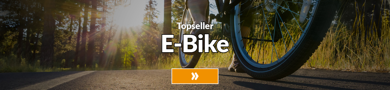Maxcom Fallback-Teaser E-Bike
